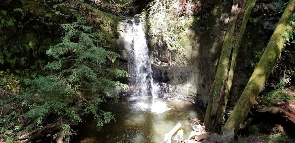 Sempervirens Falls | Sempervirens Falls Trail, Boulder Creek, CA 95006