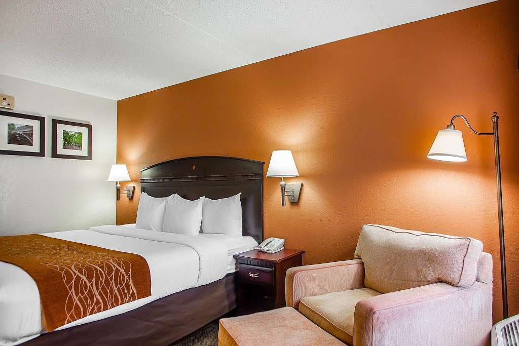 Comfort Inn & Suites | 255 Davidson Ave, Somerset, NJ 08873, USA | Phone: (732) 563-1600