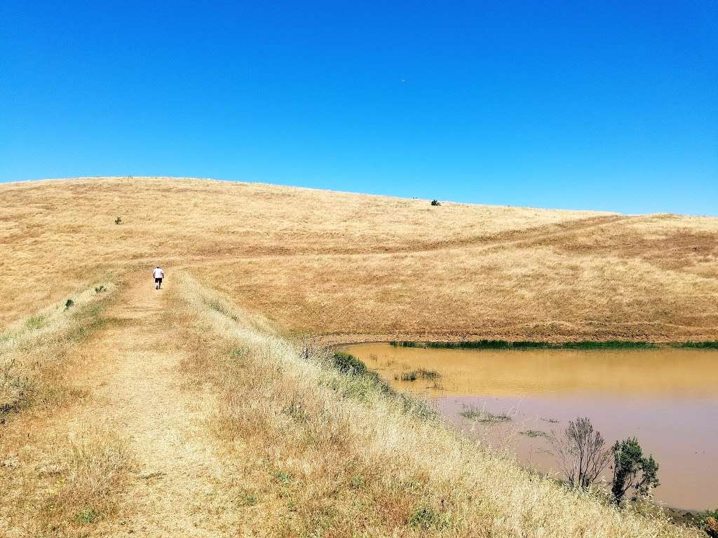 Carquinez Strait Regional Shoreline Park | Port Costa, CA 94569, USA