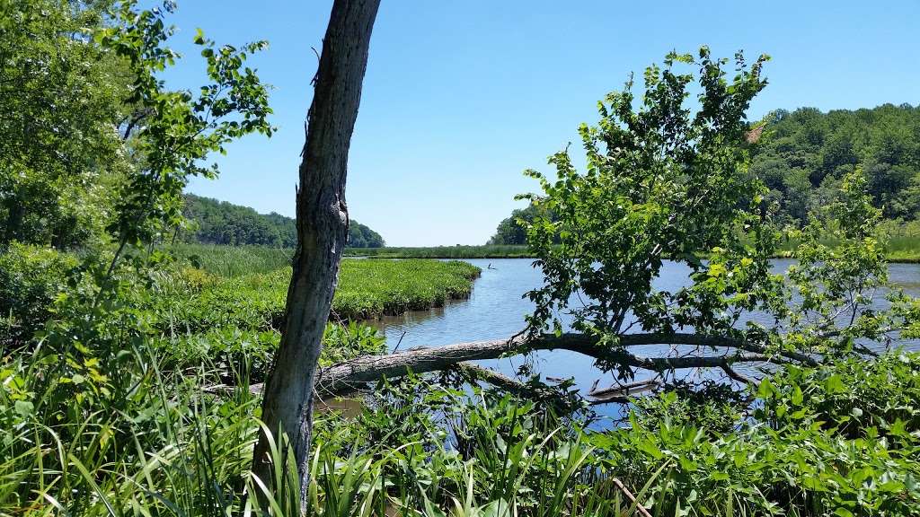 American Chestnut Land Trust | 676 Double Oak Rd, Prince Frederick, MD 20678, USA | Phone: (410) 414-3400