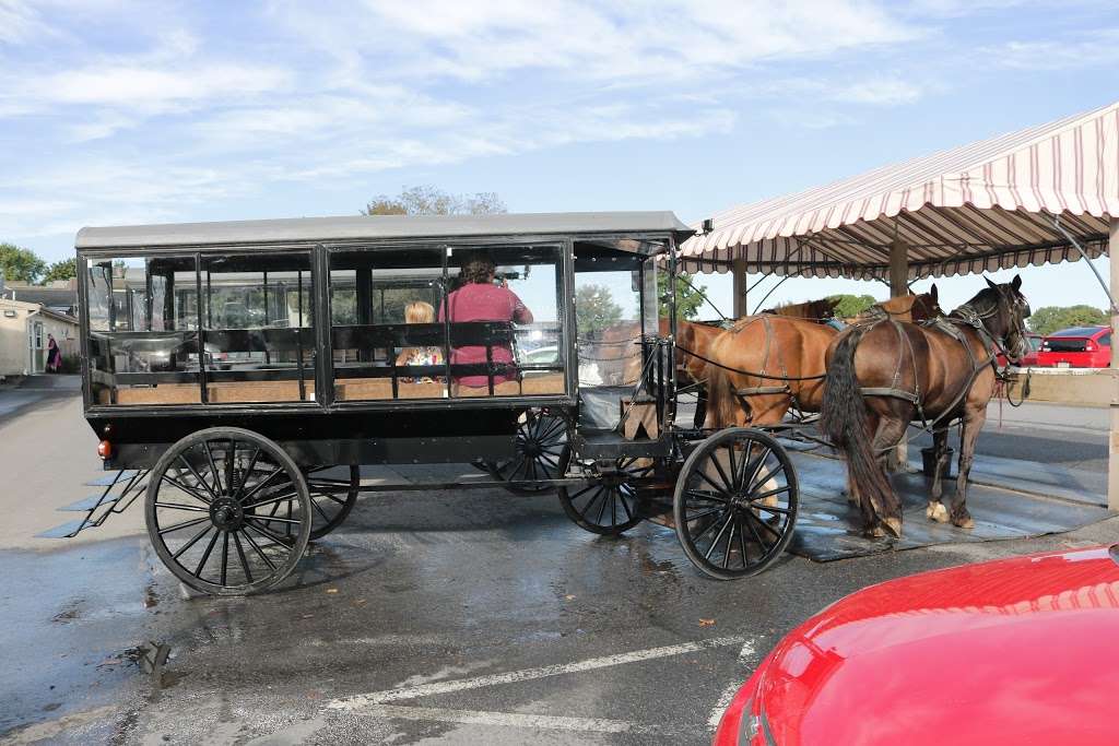 AAA Buggy Rides | 3529 Old Philadelphia Pike, Intercourse, PA 17534, USA | Phone: (717) 989-2829