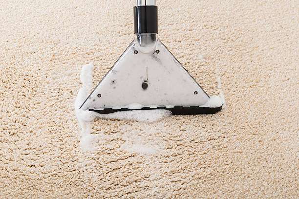 Bristol Carpets & Rugs Cleaner | 3713 S Bristol St, Santa Ana, CA 92704, USA | Phone: (714) 707-6744
