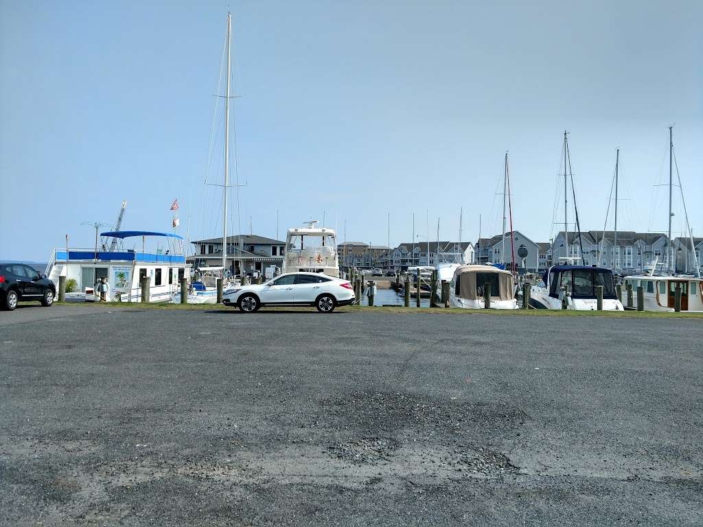 Tidewater Marine Supply | 100 Bourbon St, Havre De Grace, MD 21078, USA | Phone: (410) 939-0951