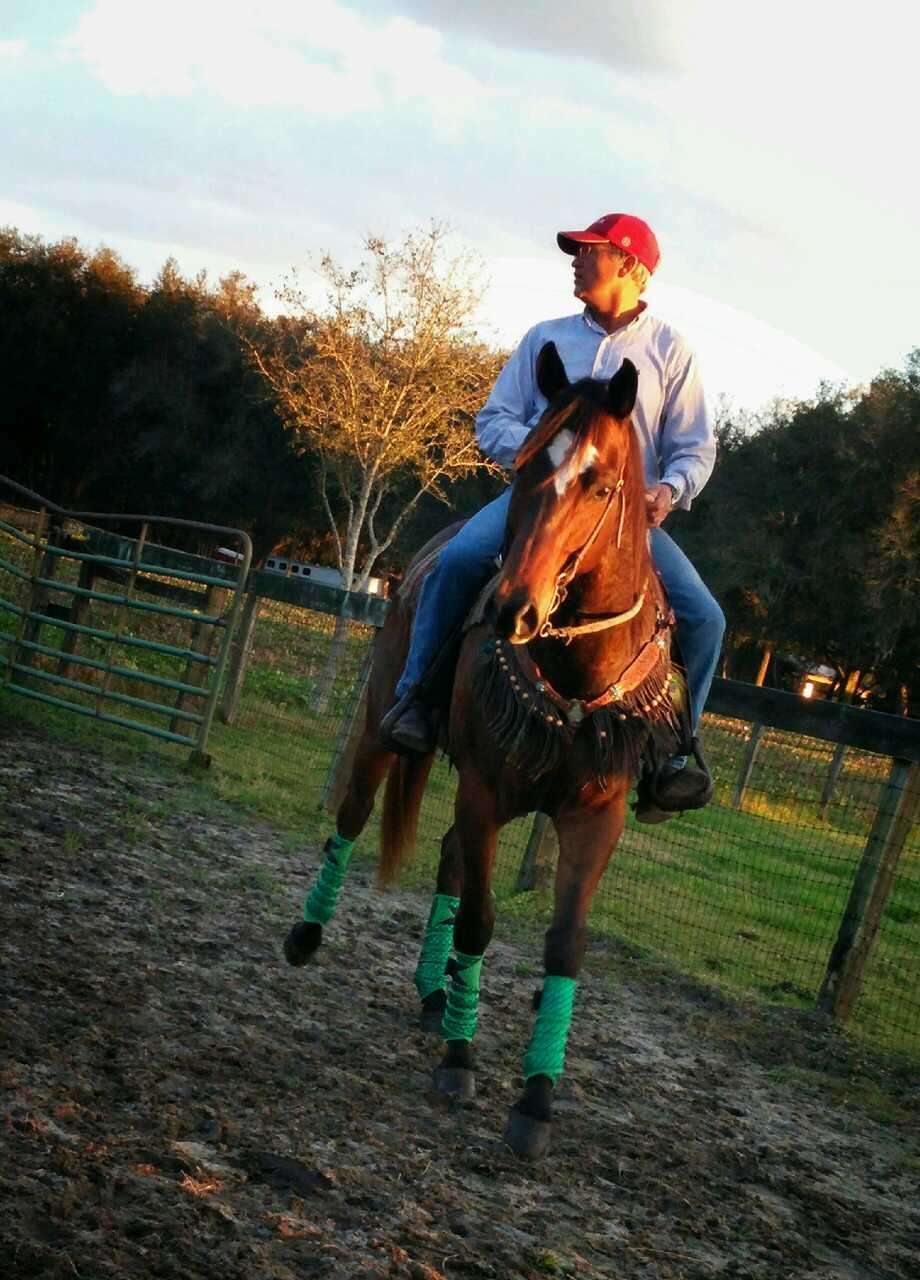 Deep Creek Stables | 2270 S Co Rd 3, Pierson, FL 32180, USA | Phone: (386) 985-0520