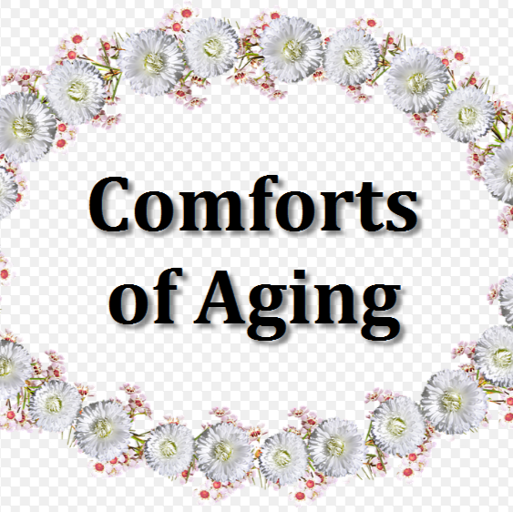 Comforts of Aging | 1485 Blake Rd, Conroe, TX 77304, USA | Phone: (936) 588-2818