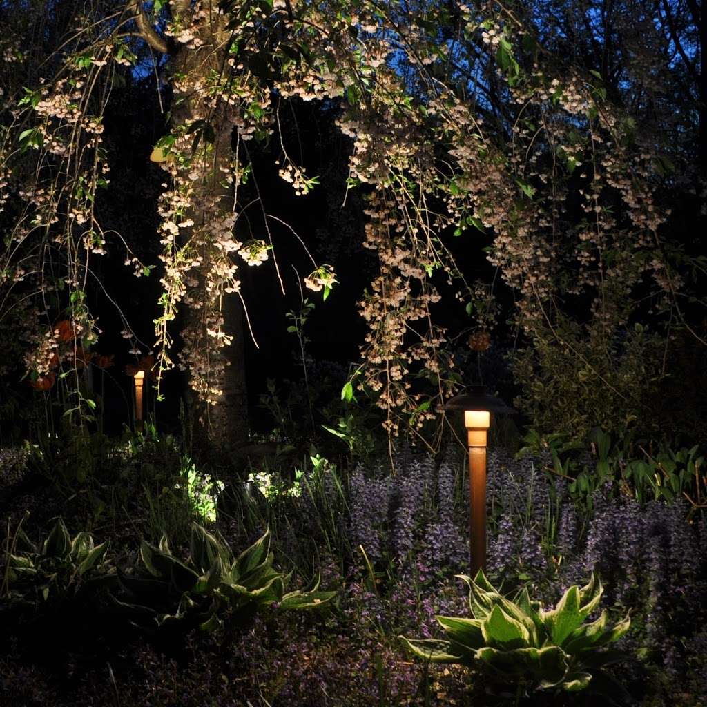 Firefly Landscape Lighting | 7 Derfuss Ln, Blauvelt, NY 10913, USA | Phone: (201) 639-4888