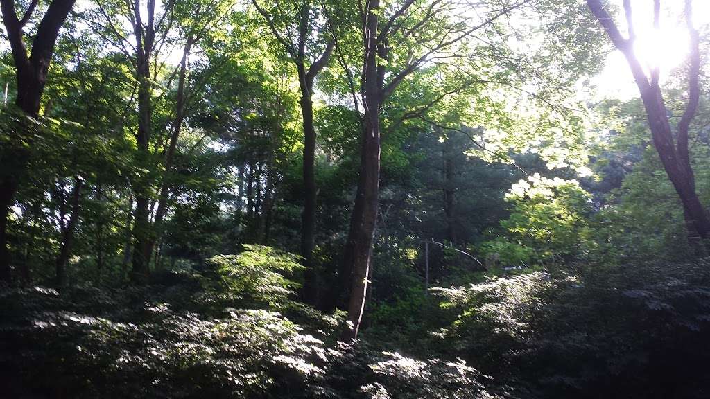 Rockland Town Forest and Conservation Land | North Ave, Rockland, MA 02370 | Phone: (781) 871-0579