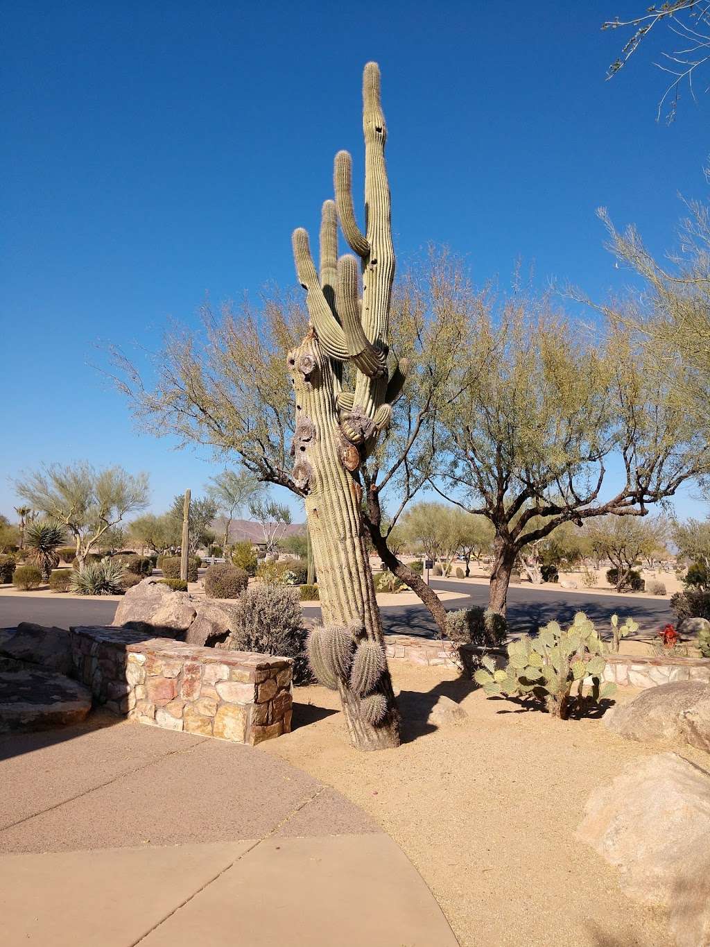 National Memorial Cemetery of Arizona | 23029 Cave Creek Rd, Phoenix, AZ 85024, USA | Phone: (480) 513-3600