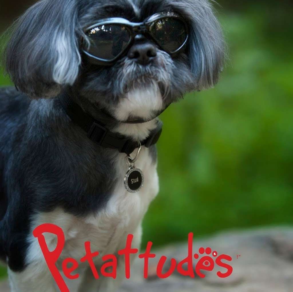 Petattudesllc | 10811 Sevenhills Dr, Tujunga, CA 91042 | Phone: (818) 296-5174