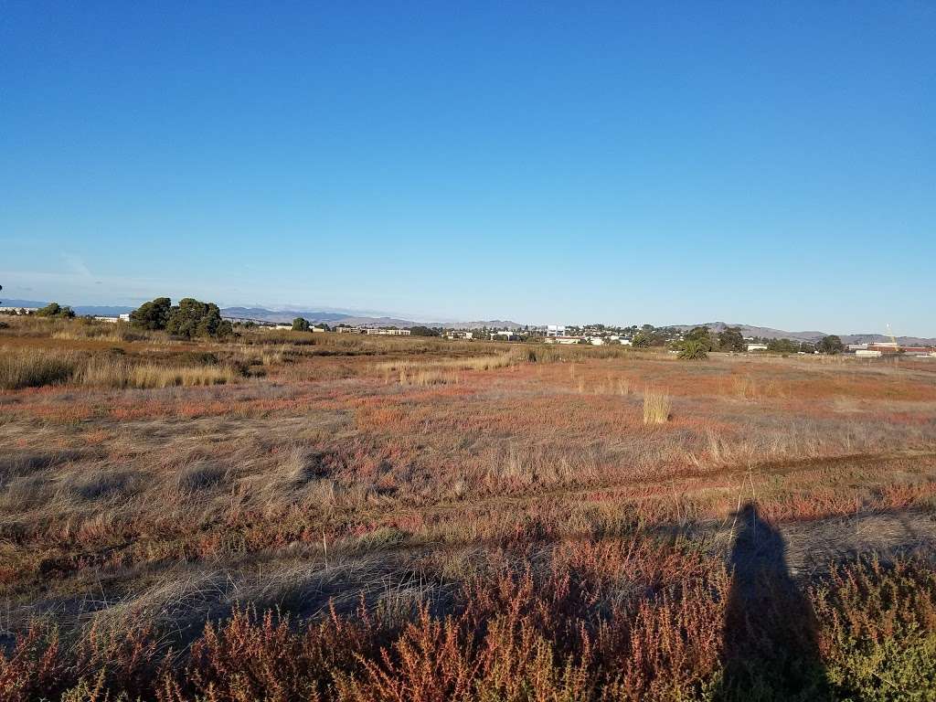 Mare Island San Pablo Bay Hiking Trail | Vallejo, CA 94592, USA