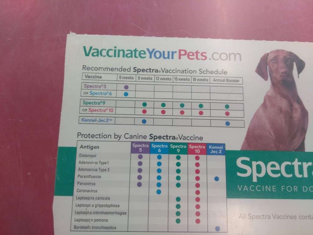 Rancho Feed & Pet | 8673 A Base Line Rd, Rancho Cucamonga, CA 91730, United States | Phone: (909) 980-4408