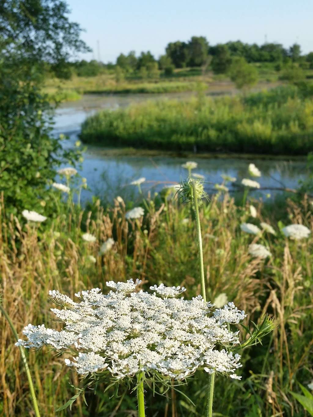 East Branch Off-leash Dog Park | 2N663 Swift Rd, Lombard, IL 60148, USA | Phone: (630) 933-7200