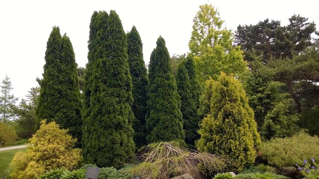 Dwarf Conifer Garden | Glencoe, IL 60022, USA