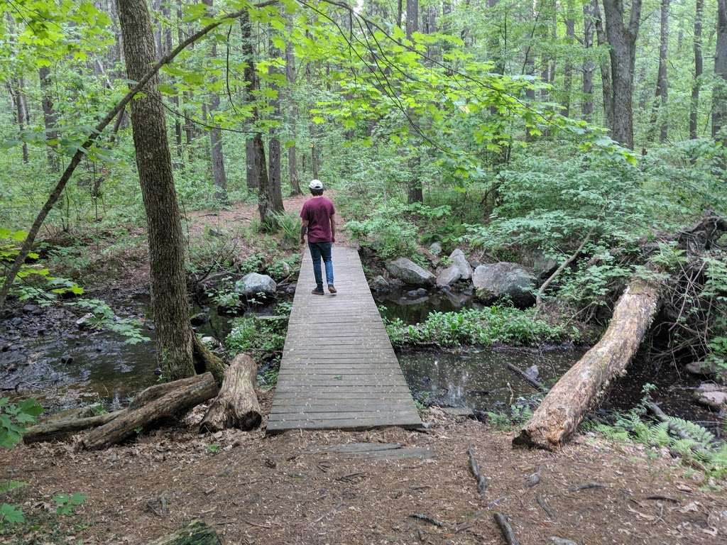 Fosters Pond Natural Area | 105 Londonderry Rd, Windham, NH 03087, USA | Phone: (603) 432-3806