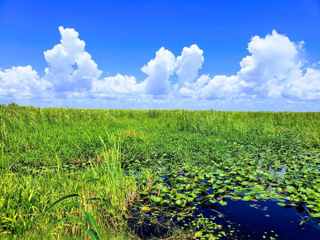 Parking Area | Florida