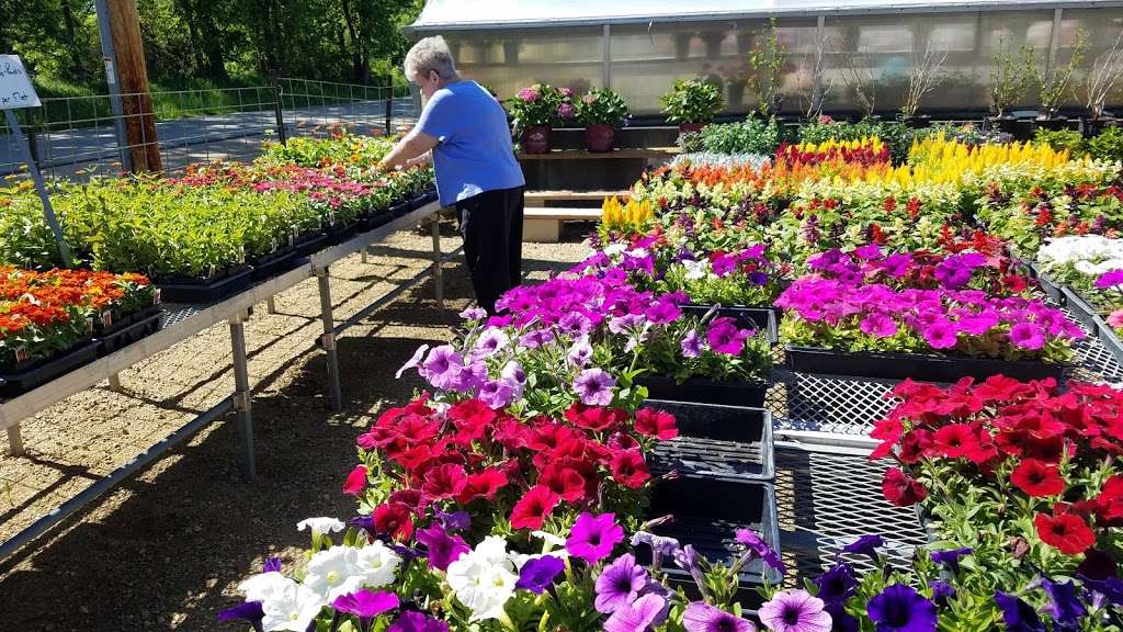 Busy Bs Garden Center | W7449 Co Rd X, Delavan, WI 53115, USA | Phone: (262) 749-3030