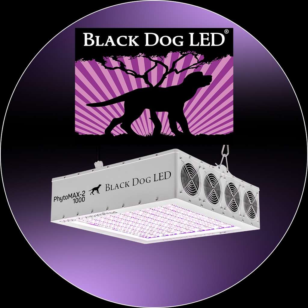 Black Dog LED | 6309 Monarch Park Pl Suite 201, Niwot, CO 80503, USA | Phone: (720) 420-1209