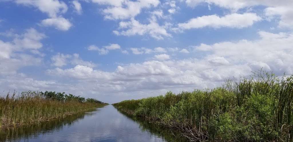 Alligator Alley Butterfly View | Unnamed Road, Tamarac, FL 33321, USA