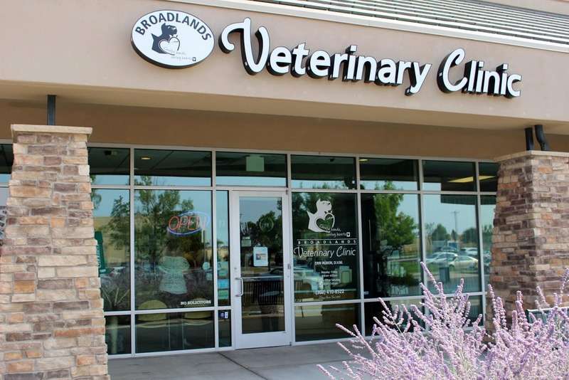 Broadlands Veterinary Clinic | 3800 W 144th Ave ste a-1000, Broomfield, CO 80023, USA | Phone: (303) 410-8522