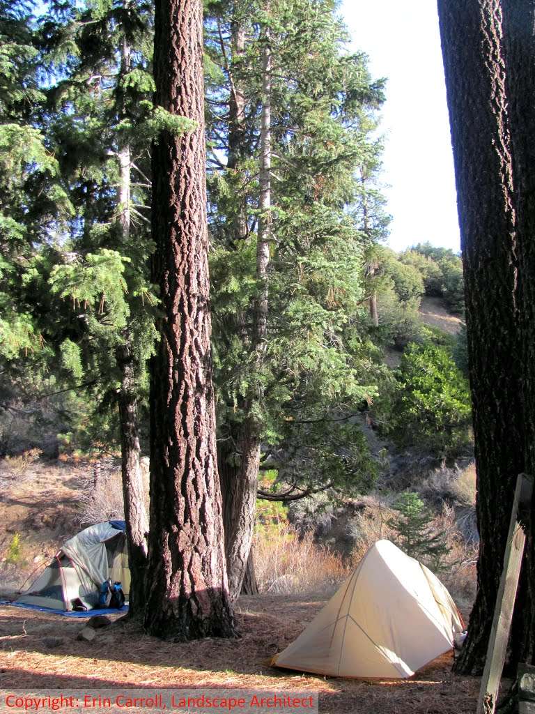 Three Mile Campground | Maricopa, CA 93252