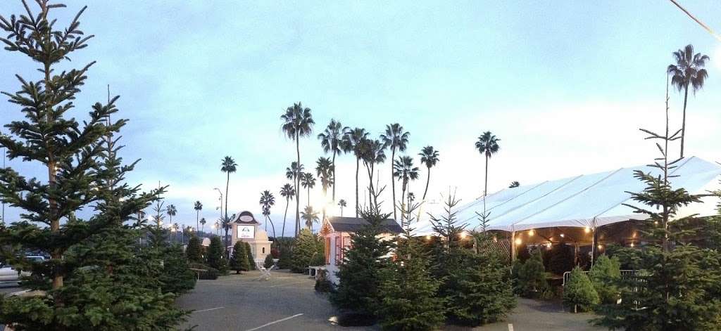 Purdy Tree Farms | 2310-2472 Jimmy Durante Blvd, Del Mar, CA 92014, USA | Phone: (503) 910-6828