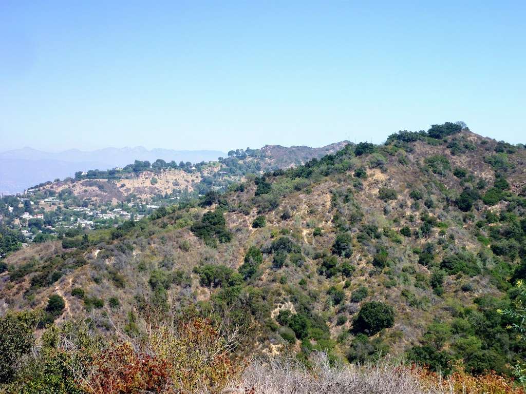 Laurel Canyon Park | Mulholland Dr, Los Angeles, CA 90046, USA | Phone: (818) 769-4415