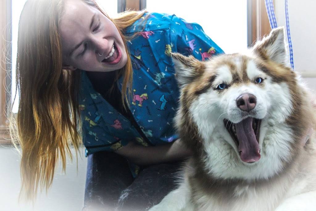 Grand Island Animal Hospital | 2323 Whitehaven Rd, Grand Island, NY 14072, USA | Phone: (716) 773-7646