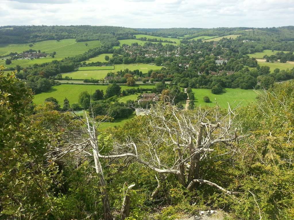 Box Hill Cafe | Tadworth KT20 7LB, UK