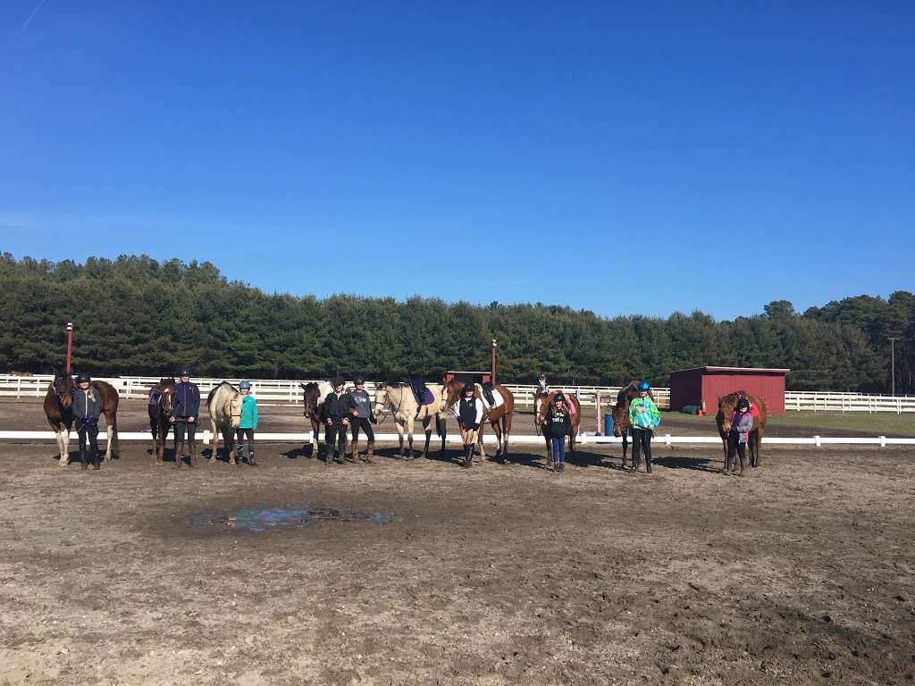 Split Elm Equestrian Center | 553 Frankfurt Ave, Mays Landing, NJ 08330 | Phone: (609) 576-5508