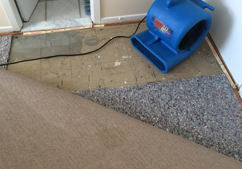 AVS Carpet Cleaning Team | 6770 NW 84th Ave, Parkland, FL 33067 | Phone: (954) 329-0159