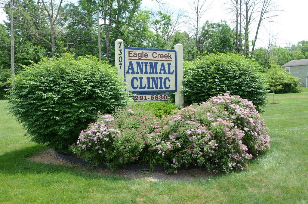 Eagle Creek Animal Clinic | 7307 38th St, Indianapolis, IN 46254, USA | Phone: (317) 291-5830