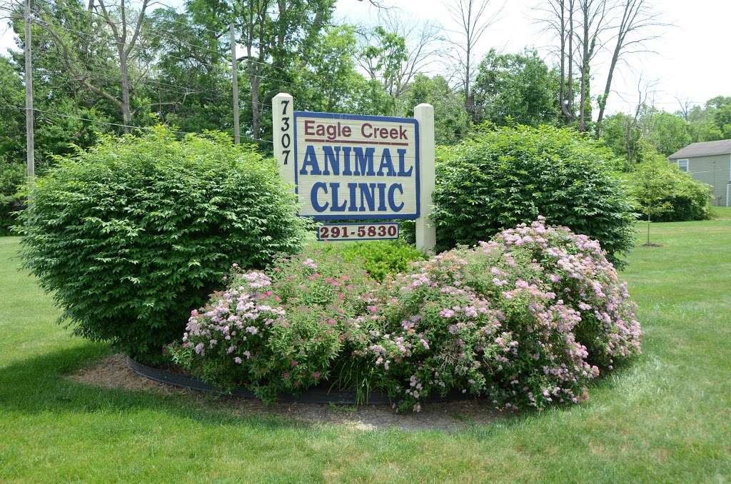 Eagle Creek Animal Clinic | 7307 38th St, Indianapolis, IN 46254 | Phone: (317) 291-5830