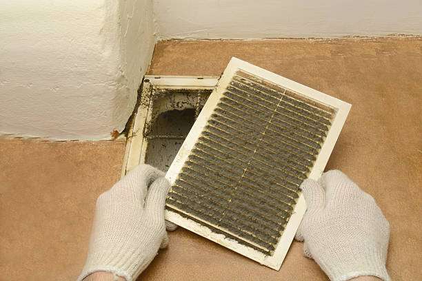 Bellerose Carpets & Air Ducts Care | 249-50 Jericho Turnpike, Bellerose, NY 11001 | Phone: (516) 253-2426
