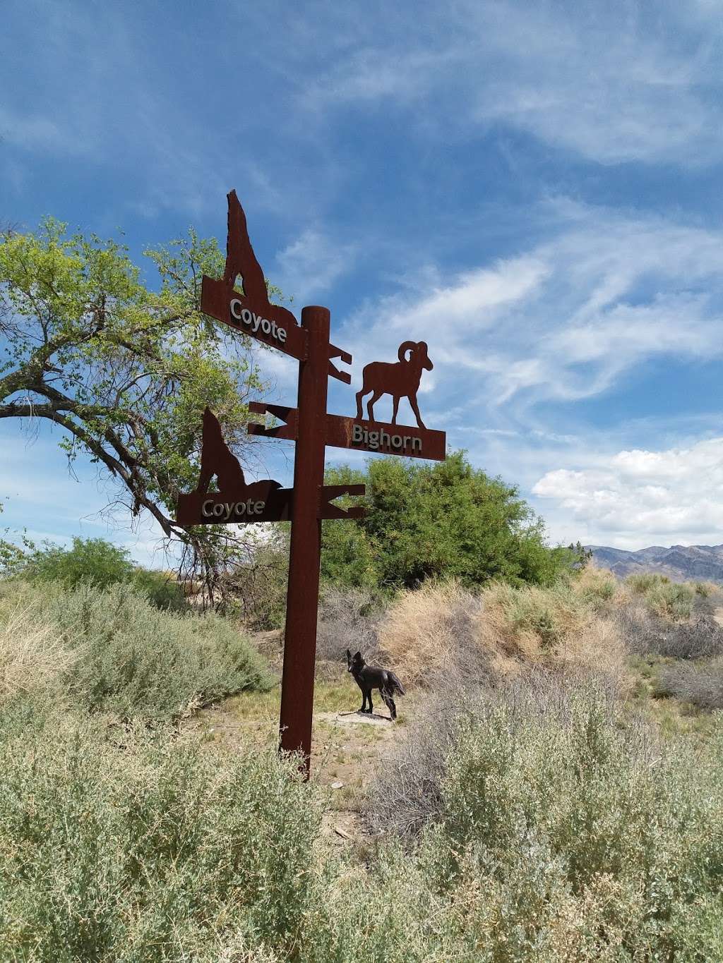 Desert National Wildlife Refuge Visitor Center | 16001 Corn Creek Rd, Las Vegas, NV 89166 | Phone: (702) 879-6110