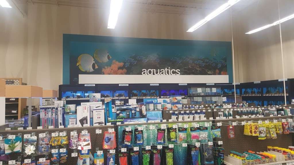 petco on 1960 and veterans memorial