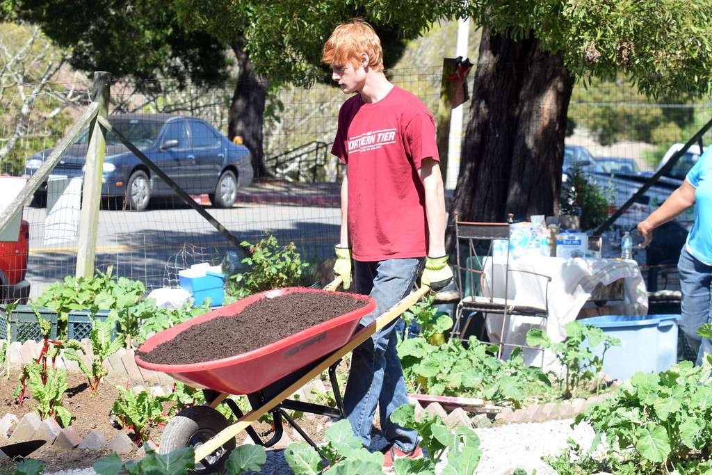 Mattie & Clarence Boatman Community Grdn | 27-45 Cole Dr, Sausalito, CA 94965, USA