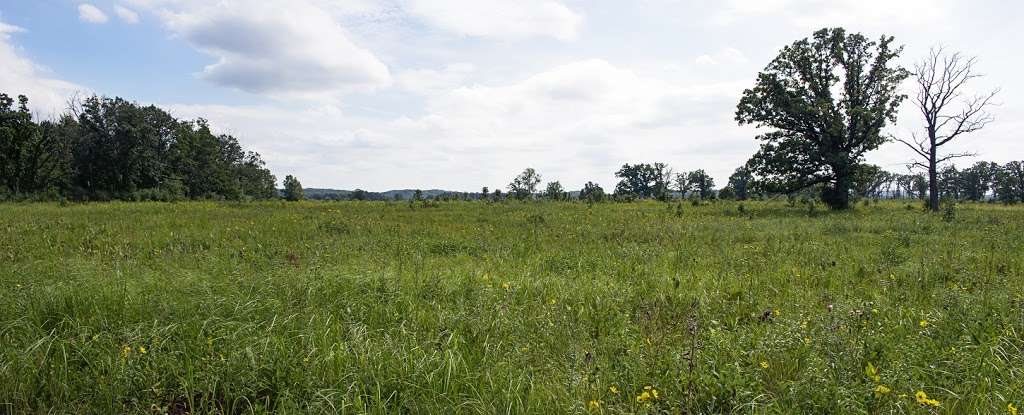 Scuppernong Prairie State Natural Area | County Rd N, Eagle, WI 53119, USA | Phone: (608) 266-0394