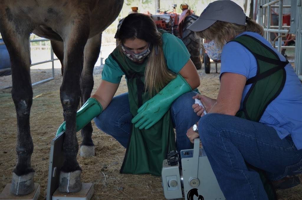 Reata Equine Veterinary Group Arizona | 9100 E Tanque Verde Rd #100, Tucson, AZ 85749 | Phone: (520) 749-1446