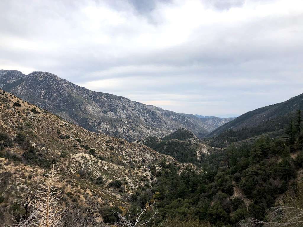 Devils Canyon Trailhead | Angeles Crest Hwy, Palmdale, CA 93550 | Phone: (626) 574-1613