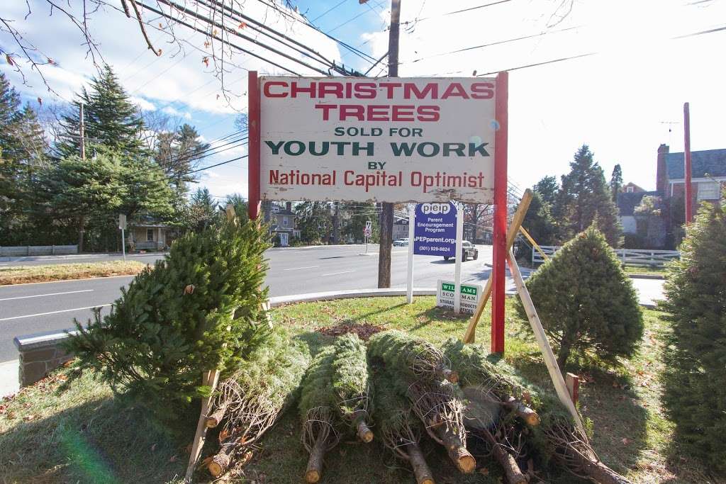 NCOC Christmas Trees | 10100 Connecticut Ave, Kensington, MD 20895 | Phone: (301) 946-6262