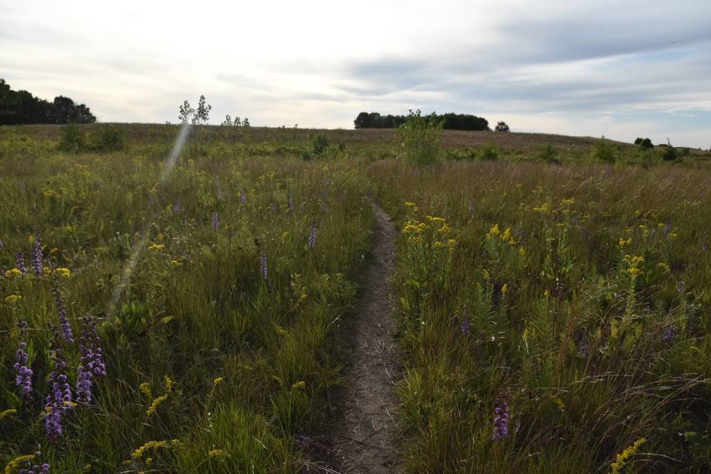 Grey Cloud Dunes SNA | 113th St S, Cottage Grove, MN 55016, USA | Phone: (651) 259-5800