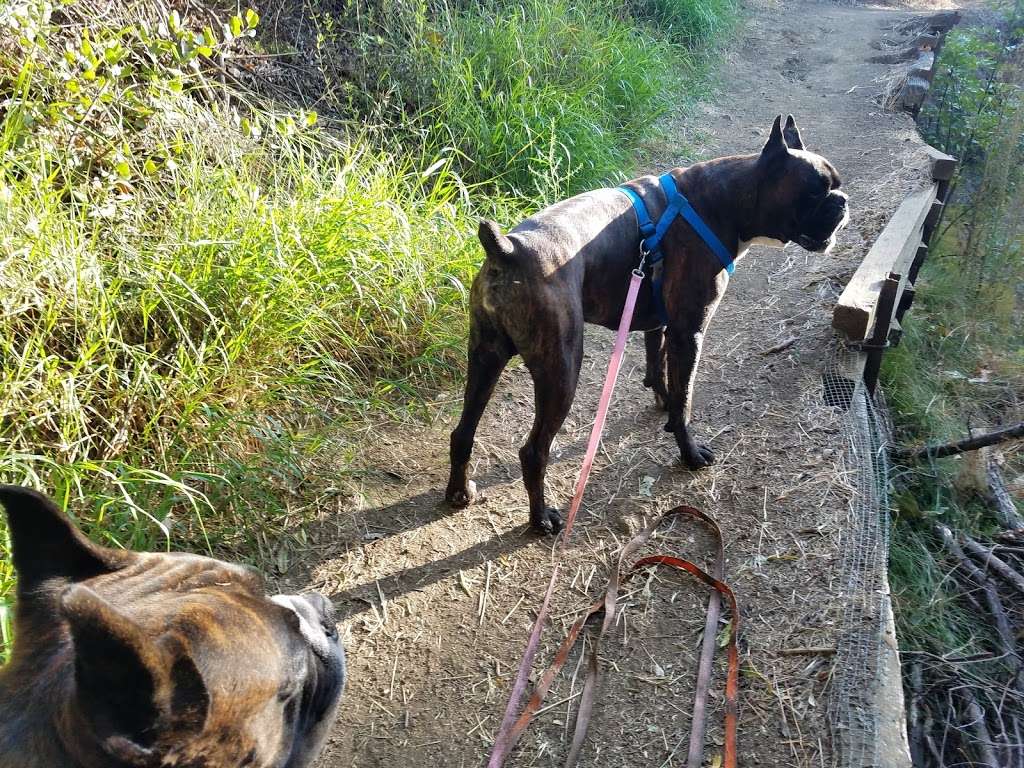 Paradise Falls Trailhead | Mesa Trail, Thousand Oaks, CA 91360