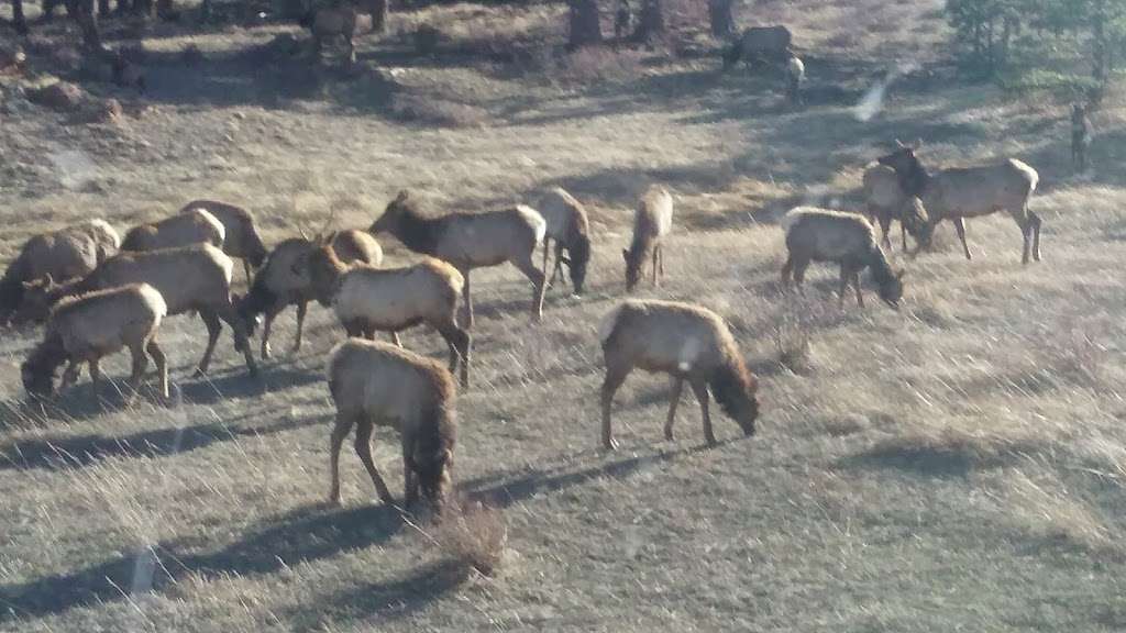 Backcountry Permit Office | Mills Dr, Estes Park, CO 80517, USA | Phone: (970) 586-1242