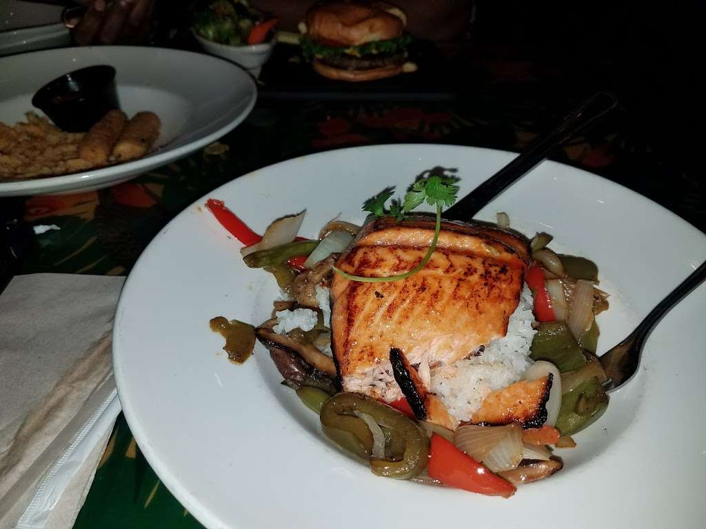 Rainforest Cafe | 505 Rain Forest Rd, Lake Buena Vista, FL 32830, USA | Phone: (407) 938-9100 Rainforest Cafe | 505 Rain Forest Rd, Lake Buena Vista, FL 32830, USA | Phone: (407) 938-9100