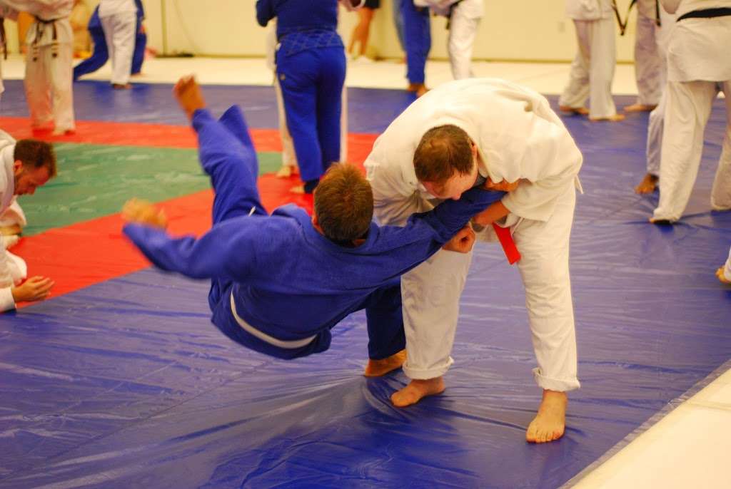 Carolinas American Judo Assoc dba Matthews PAL | 2246 Stevens Mill Rd, Matthews, NC 28104, USA | Phone: (704) 458-1222