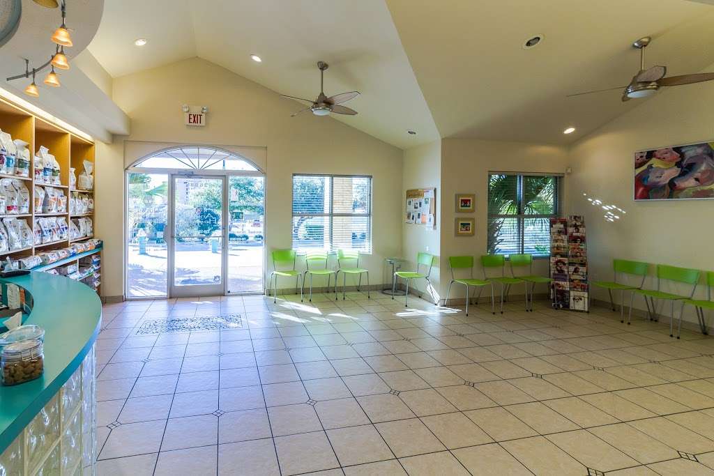 Southeast Animal Hospital in 3608 S Gevers St, San Antonio, TX 78210, USA