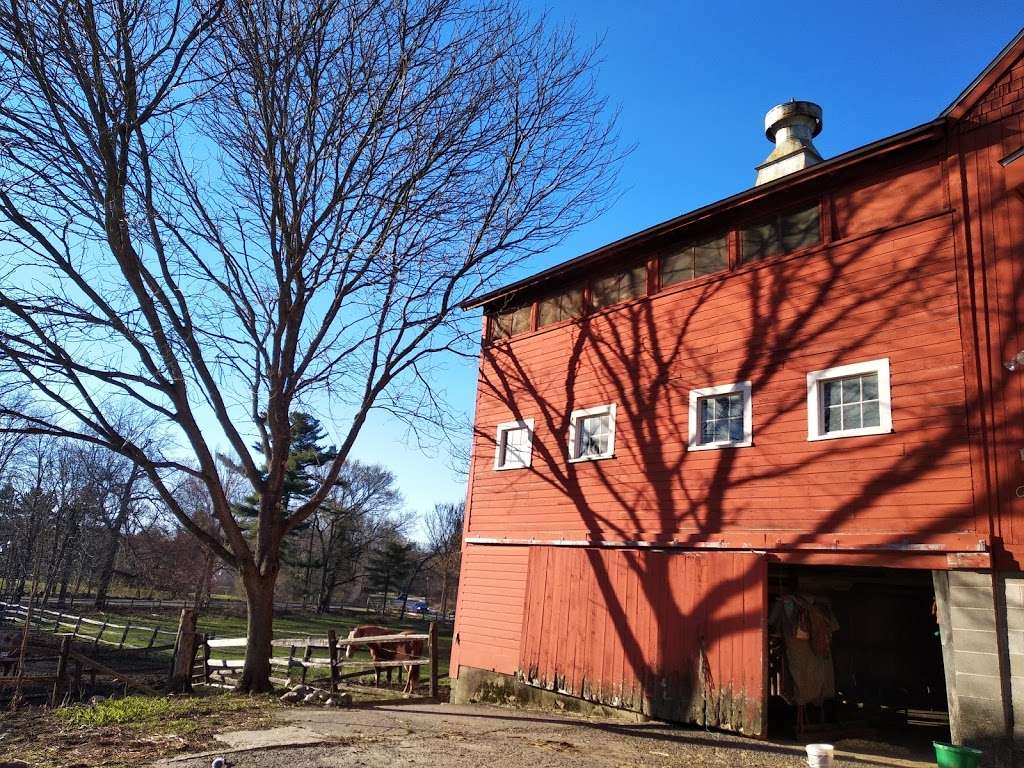 Heald Street Horse Farm | 28 Heald St, Pepperell, MA 01463, USA | Phone: (978) 302-8024