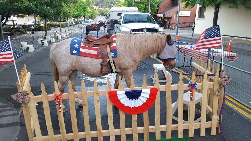 Ponies R Us | Robie Rd, Sonoma, CA 95476, USA | Phone: (707) 996-7669