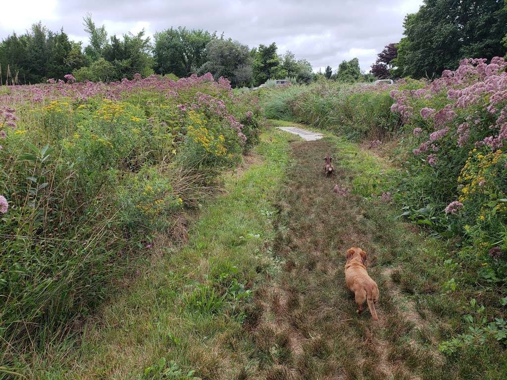 Bay Farm | 100 Parks St, Duxbury, MA 02332, USA