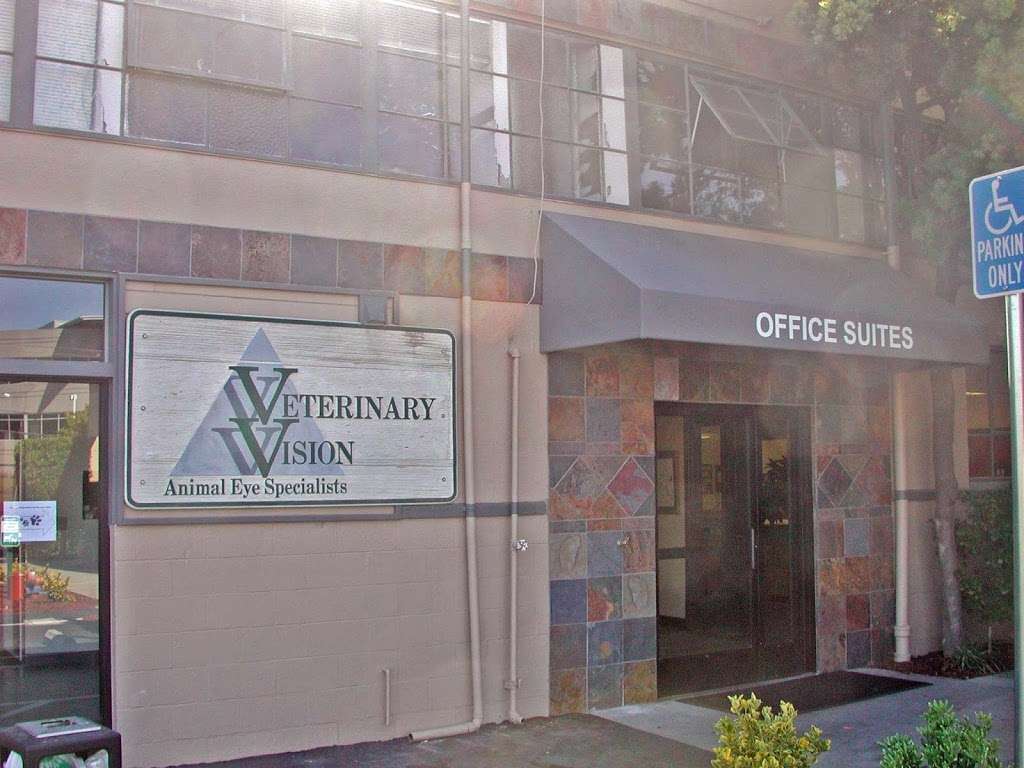 Veterinary Vision Animal Eye Specialists | 210 Industrial Rd, San Carlos, CA 94070, USA | Phone: (650) 551-1115